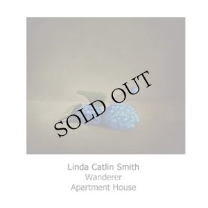 画像1: Linda Catlin Smith - Apartment House "Wanderer" [CD]