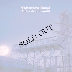 画像1: Tokutaro Hosoi "Phlox drummondii" [CD]