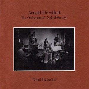 画像1: Arnold Dreyblatt, The Orchestra Of Excited Strings "Nodal Excitation" [LP]