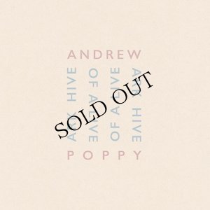 画像1: Andrew Poppy "Ark Hive of A Live" [4CD + 128 page book + Slipcase]