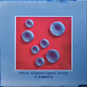 画像1: Tetuzi Akiyama / Ayami Suzuki "Allelopathy" [CD]