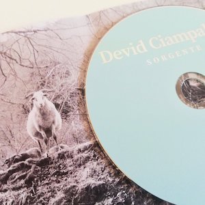 画像2: Devid Ciampalini "Sorgente" [CD]