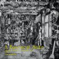 Tim Marien "A Basement Suite" [LP]