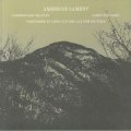 Christopher Trapani, Larry Polansky "American Lament" [LP]