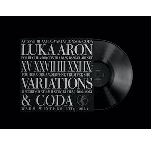 画像2: Luka Aron "XV XXVII III XXI IX: Variations & Coda" [LP]