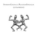 Ambienti Coassiali, Riccardo Sinigaglia "Guitambients" [LP]