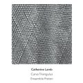 Catherine Lamb "Curva Triangulus" [CD]