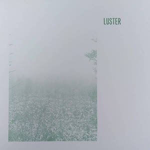 画像1: Luster [LP]