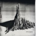 Spelterini "Pareidolie" [LP]