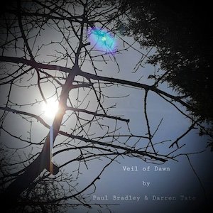 画像1: Paul Bradley & Darren Tate "Veil of Dawn" [Art edition : Art work + CD-R]