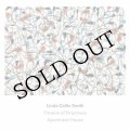 Linda Catlin Smith "Flowers of Emptiness" [CD]