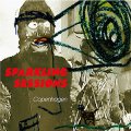 Sparkling Sessions (Jac Berrocal, Vincent Epplay, Tzarina re-Tuned) "Sparkling Sessions" [CD]