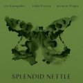 Ute Kanngieber, Eddie Prevost, Seymour Wright "Splendid Nettle" [CD]