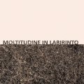 Gigi Masin & Giuseppe Caprioli "Moltitudine in labirinto" [Clear LP]