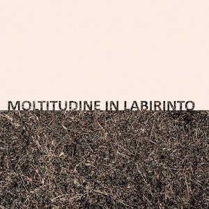 画像1: Gigi Masin & Giuseppe Caprioli "Moltitudine in labirinto" [Clear LP]