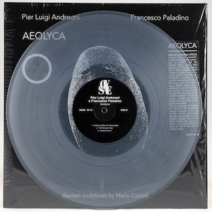 画像2: Pier Luigi Andreoni, Francesco Paladino "Aeolyca" [Clear LP]