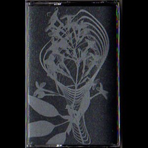 画像: Aemae "And Tongueless, I Can Conjure You At Will" [Cassette]