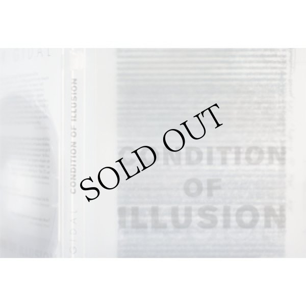 画像2: Peter Gidal "Condition of Illusion" [PAL DVD + Clear 60page Booklet]