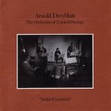 画像: Arnold Dreyblatt, The Orchestra Of Excited Strings "Nodal Excitation" [LP]