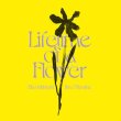 画像1: Eiko Ishibashi / Jim O'Rourke "Lifetime of a Flower" [LP]