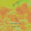 画像2: Ora and Lol Coxhill "Orange Tales" [CD-R + postcard]