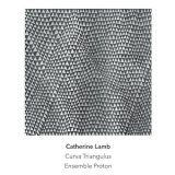 画像: Catherine Lamb "Curva Triangulus" [CD]