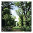 画像2: Coen Oscar Polack "Haarlemmerhout" [LP]