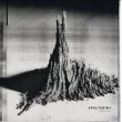 画像1: Spelterini "Pareidolie" [LP]