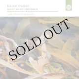 画像: Karen Power "…we return to ground…" [2CD]