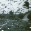 画像1: Anthony Moore "Mare's Tail" [LP]