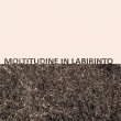 画像1: Gigi Masin & Giuseppe Caprioli "Moltitudine in labirinto" [Clear LP]