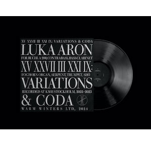 画像2: Luka Aron "XV XXVII III XXI IX: Variations & Coda" [LP]