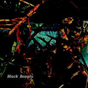 画像3: Darren Tate "Black Beauty" [Art edition : Collage works + CD-R + Post card]