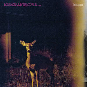 画像3: Lake Mary & Daniel Wyche "Deer's Breathe In Every Color" [Magenta transparent LP]